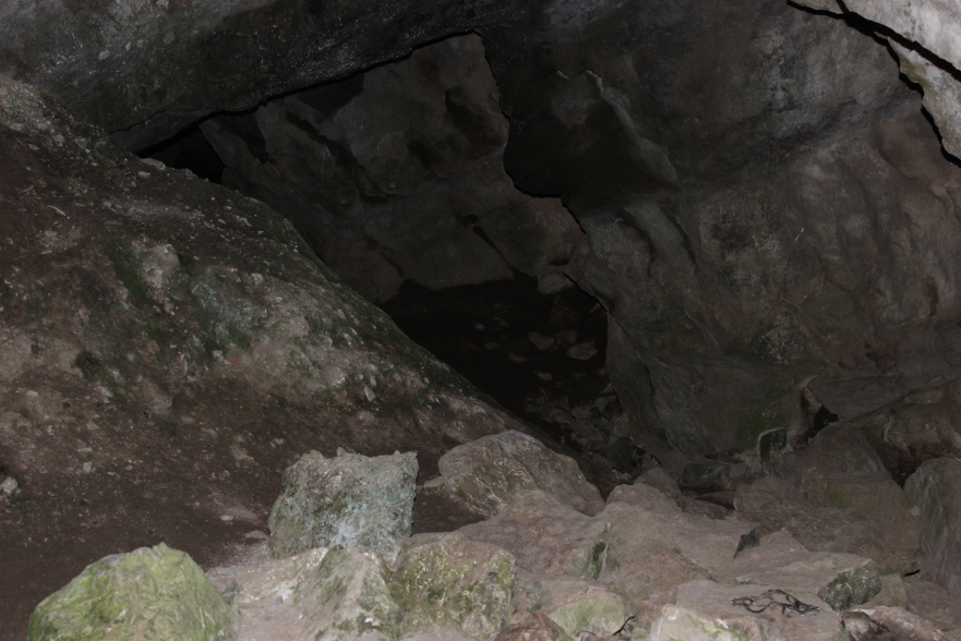 Cobden Cave Greymouth Mawhera